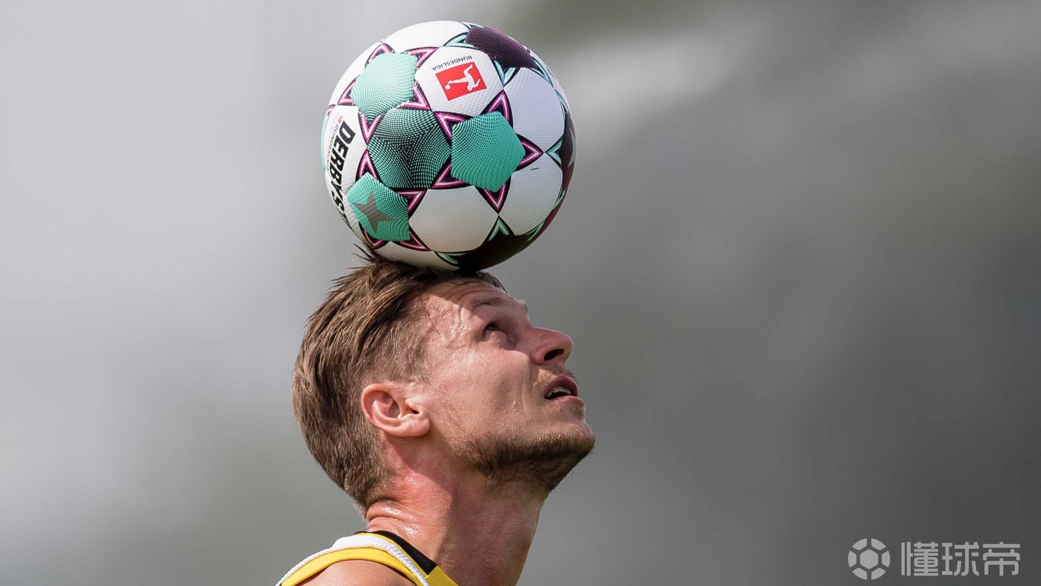 包含赛前萨克拉门托国王调整名单以备德国杯，伤情更新环节打磨，管理层满意，训练强度明显提升的词条-9体育